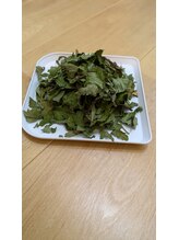 ミヤビ(miyabi)/大和当帰