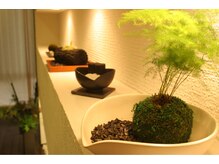 ビズビズ 梅田店(bisebise)/インテリアにもこだわりを