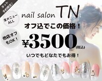 ティーエヌ イオン新潟青山店