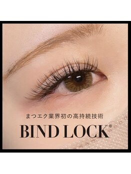 アルム(Aleum)/バインドロック120束