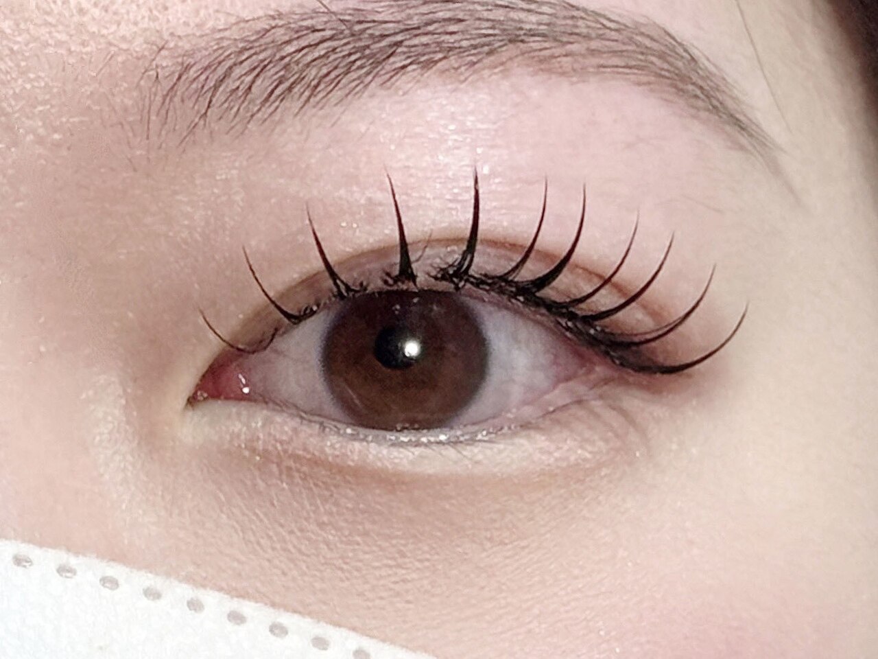 【マツエク】フラットマットラッシュ☆くっきり瞳の120本￥6600♪