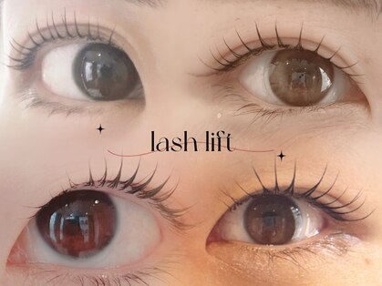ホーリービオ(Holly Bio)の写真