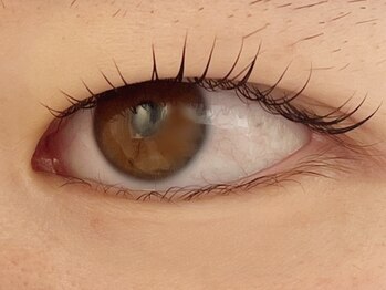 カラン 焼津店(CALIN)/ラスティングカール