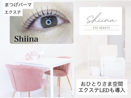 シーナ(Shiina)の写真