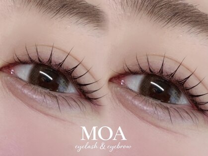 モア(MOA)の写真