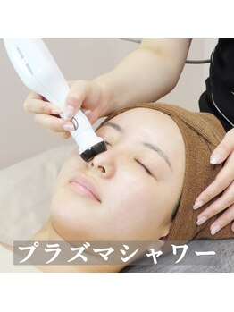 アマリリス(Amaryllis)/《プラズマシャワー》