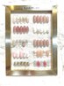 【6/12.17.19限定♪】定額All¥7,900 ベーシックコース(初回オフ無料)