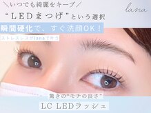 ラナ(lana)