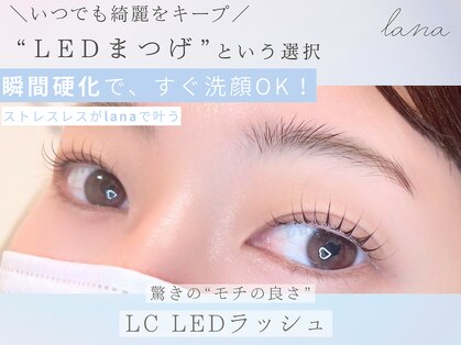 ラナ(lana)の写真