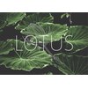 ロータス エステティックルーム(LOTUS Esthetic room)ロゴ