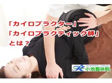 小池整体院/「カイロプラクター」とは？