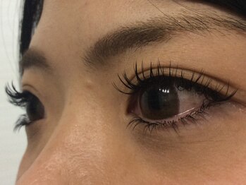 シュシュ(chou chou)/セーブル 160本(chouchou吉祥寺)