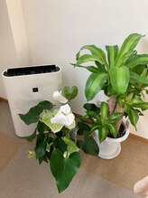 ビューティサロン ココモ(Cocomo)/