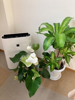 ビューティサロン ココモ(Cocomo)/