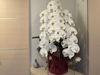 サロン ケー(Salon K)/移転のお祝いに頂きました!