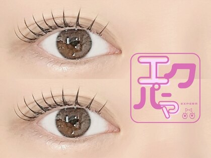 シーズントーキョー(SEASON Tokyo)の写真