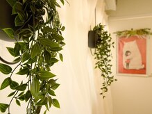 レーブ(Reve)/店内内装♪