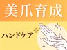【ケアのみ】自爪育成ネイルケア ¥2750 ─ 深爪/巻き爪/爪が薄い/ハンドケア