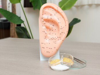 アンド リオール(&RE:ALL)/ 耳ツボは脳に最も近いツボ！