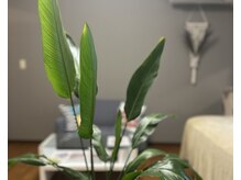 グリッター(GLITTER)の雰囲気（お店の雰囲気です♪）