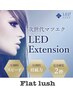 【速乾＆高持続LEDエクステ】軽量×負担減Flat lash☆上180本下付放題(無制限