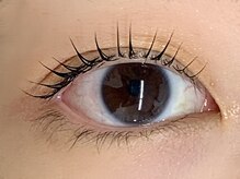 ベリーノ 五反田(Bellino)/まつげパーマ