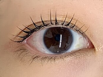 ベリーノ 五反田(Bellino)/まつげパーマ