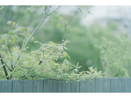 トリコテ ル ブラン(tricoter le blanc)の写真