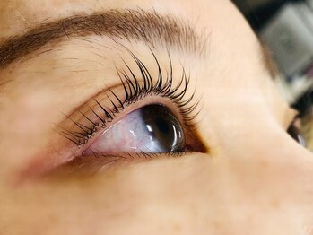 キャリコ(calico)/