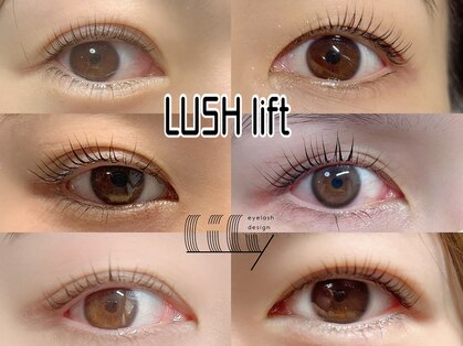 リリー(Lily)の写真