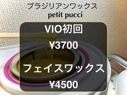 プチプチ(petit pucci)の写真