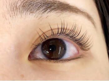 キャリコ(calico)/