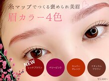 カルミア アイ(CALMIA., eye)/大人気オプション★眉カラー4色