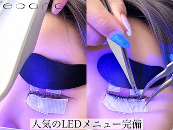 エサージュ 新宿店の写真/柔らかな印象になれるメーテルも束感のあるまつ毛パーマでぱっちり目元になれる韓国アイドル風も自由自在♪