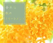 マノワ(manoir)