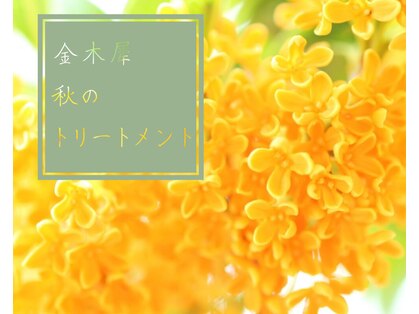 マノワ(manoir)の写真