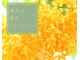 マノワ(manoir)の写真