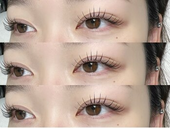 サルサグレイス 木更津店(SALSA GRACE)/フラットラッシュ140本