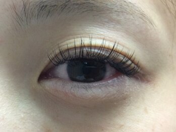 シュシュ(chou chou)/セーブル140本(chouchou吉祥寺)