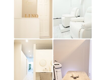 リノ(Lino)の写真