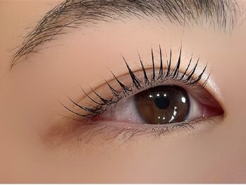 ツリー(tree)の写真/【ケラチンラッシュリフト¥6500→¥6000】自まつ毛のようなナチュラルな目元にしたい方にお勧め♪