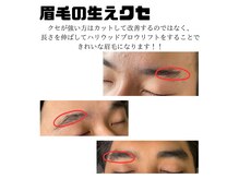ベリーム(bereme)の雰囲気（眉クセ改善パーマ【ハリウッドブロウリフト】）