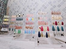 ルピネス(Lupines)/2025年8月定額design