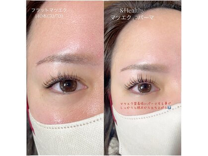 ミシュ(mishu)の写真