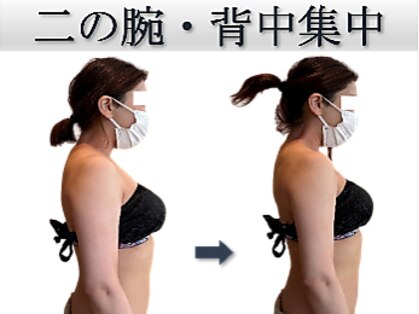 椿(TSUBAKI)の写真