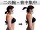 椿(TSUBAKI)の写真