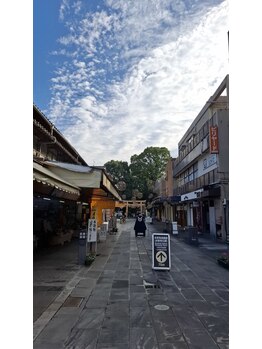 エミュ(emu)/水前寺公園の参道商店街