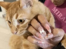 ミライネイル(MIRAI NAIL)の雰囲気（甘えん坊の猫ちゃんがいます＾＾苦手な方はすみません(o_o)）