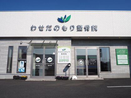 わせだのもり整骨院の写真