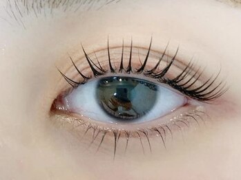 キャリコ(calico)/